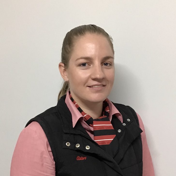 Elders Real Estate Horsham Your Local Real Estate Experts